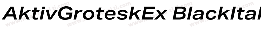 AktivGroteskEx BlackItalic字体转换